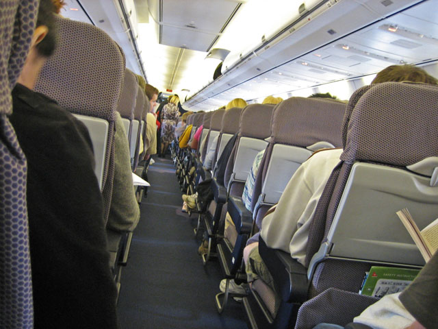 �J���^�X�q��@�@���̗l�q