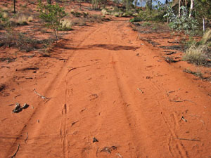 �G�A�[�Y���b�N�E���]�[�g�̕��� 4