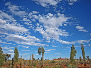 ���H����̌i�F 1