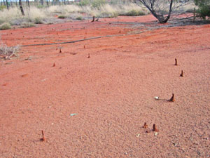 �����ɂ���a�� 2