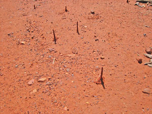 �����ɂ���a�� 3