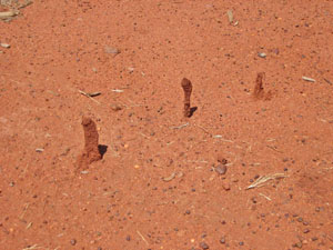 �����ɂ���a�� 4