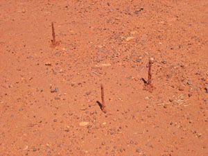 �����ɂ���a�� 5 