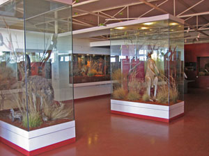 �J���K���[�ƃG�~���̔���