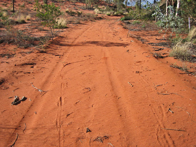 �G�A�[�Y���b�N�E���]�[�g�̕��� 4