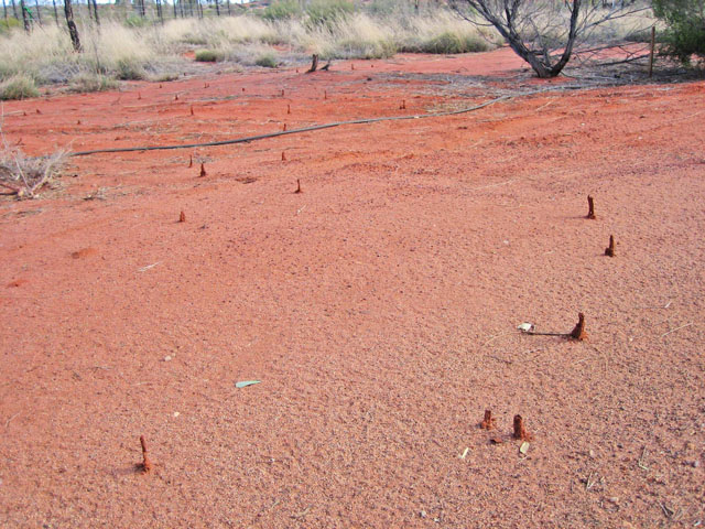 �G�A�[�Y���b�N�E���]�[�g�@�����ɂ���a�� 2