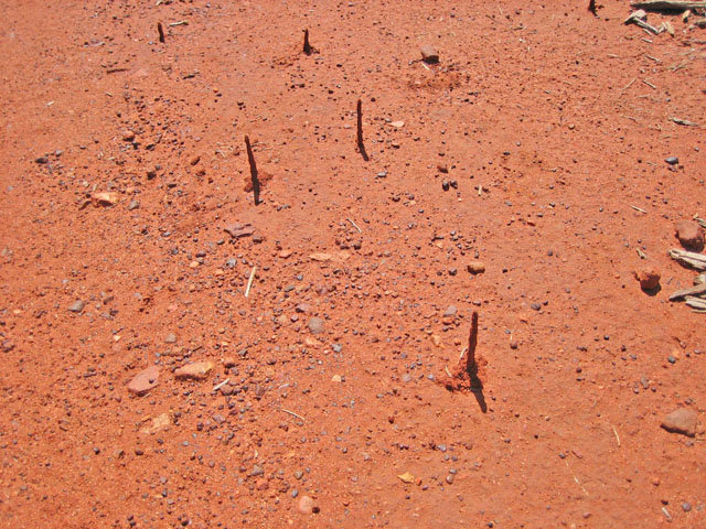 �G�A�[�Y���b�N�E���]�[�g�@�����ɂ���a�� 3