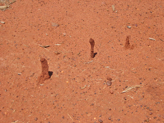 �G�A�[�Y���b�N�E���]�[�g�@�����ɂ���a�� 4