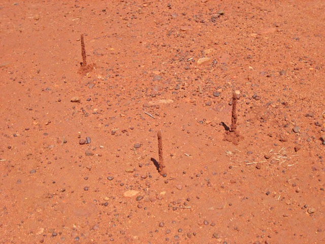 �G�A�[�Y���b�N�E���]�[�g�@�����ɂ���a�� 5