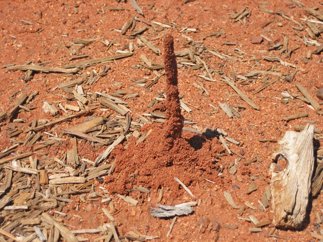 �G�A�[�Y���b�N�E���]�[�g�@�����ɂ���a�� 6