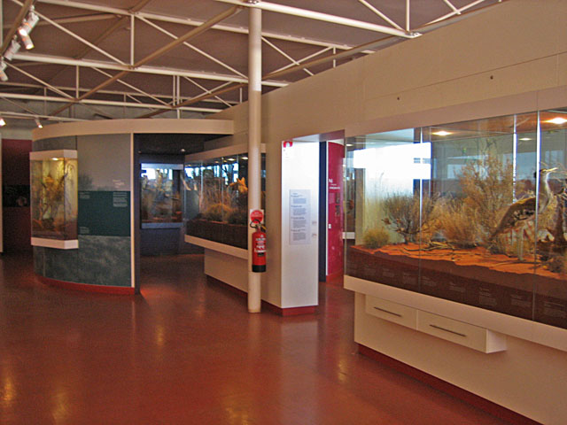 �G�A�[�Y���b�N�E���]�[�g�@���j�����ق̓���