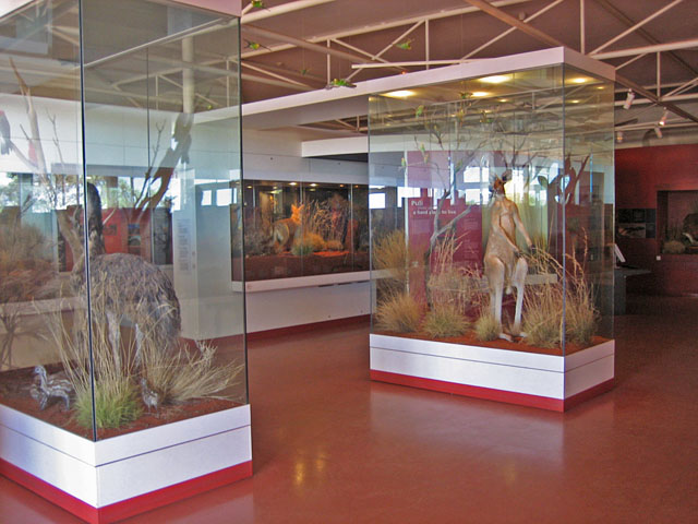 �G�A�[�Y���b�N�E���]�[�g�@�J���K���[�ƃG�~���̔���