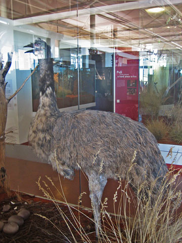 �G�A�[�Y���b�N�E���]�[�g�@�G�~���̔���