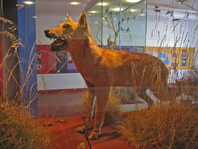 �G�A�[�Y���b�N�E���]�[�g�@�f�B���S�̔���