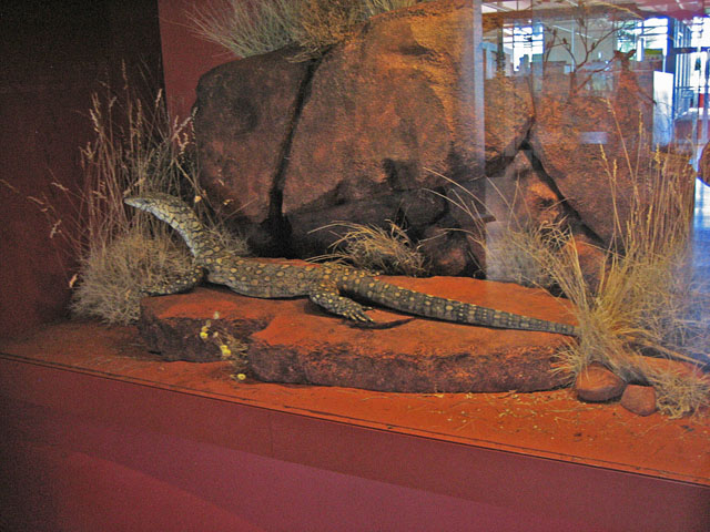 �G�A�[�Y���b�N�E���]�[�g�@�傫�ȃg�J�Q�̔���