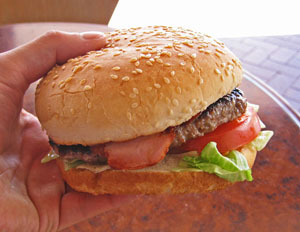 �n���o�[�K�[