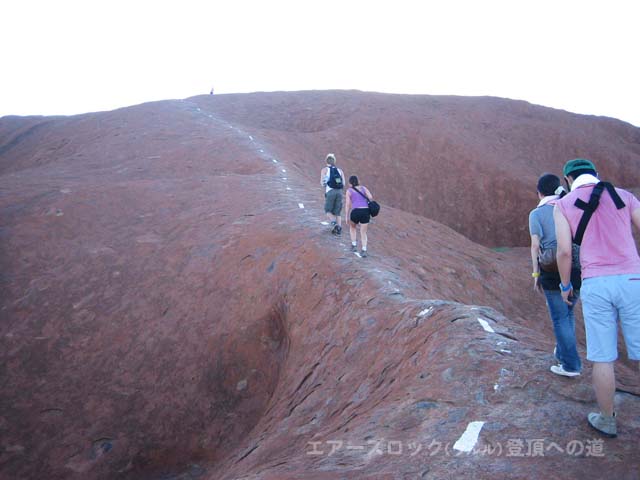 �G�A�[�Y���b�N�i�E�����j�o�R�@���T�C�h���R�ׂ̍���