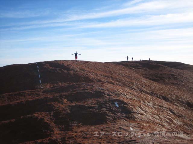 �G�A�[�Y���b�N�i�E�����j�o�R�@�ɂ₩�ȍ�