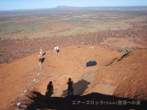 �㔼�g���̐l