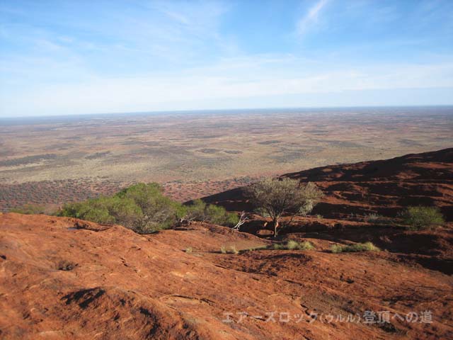 �G�A�[�Y���b�N�i�E�����j�o�R�@����̖؁X