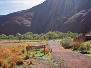 �E�H�[�L���O�R�[�X�֑�����