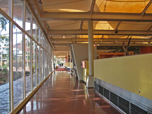 ���Z�v�V�������璆��ɒʂ��铹