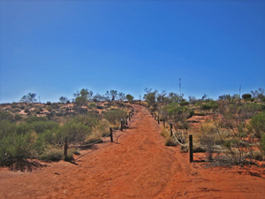 �p�C�I�j�A�W�]��֑�����