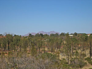 �W�]�䂩�猩���I���K��Q�i�J�^�W���^�j