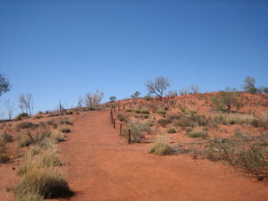 �C�}�����O�W�]��֑����� 3