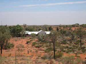 �W�]�䂩�猩���i�F 3