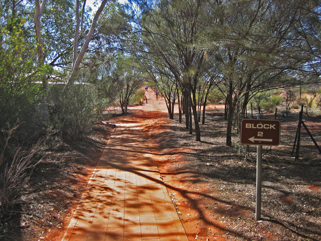 �p�C�I�j�A�W�]��ɑ������i�z�e���̕~�n���j