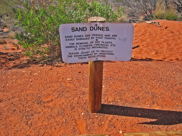 �p�C�I�j�A�W�]��@������邱�Ƃ𑣂��Ŕ�