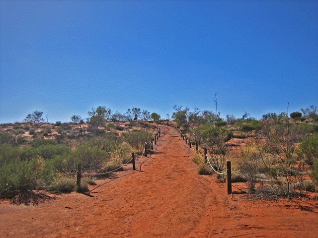 �p�C�I�j�A�W�]��֑�����