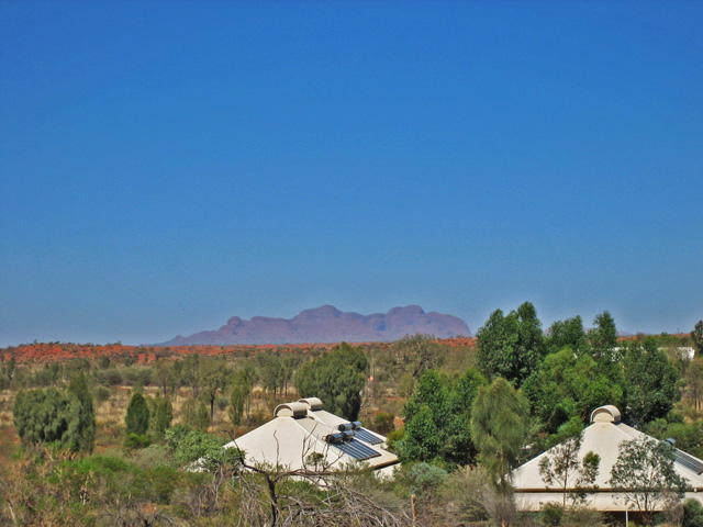 �p�C�I�j�A�W�]�䂩�猩����I���K��Q�i�J�^�W���^�j