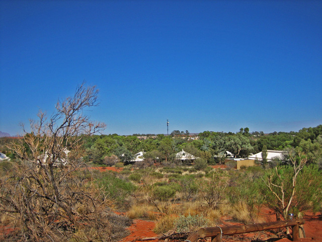 �p�C�I�j�A�W�]�䂩�猩����i�F 1