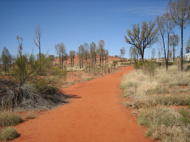 �C�}�����O�W�]��֑����� 1