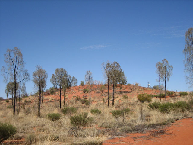 �C�}�����O�W�]��֑����� 2