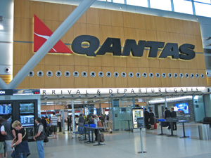 �V�h�j�[���ۋ�`