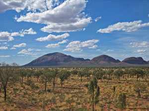 �������猩���I���K��Q�i�J�^�W���^�j�̐���