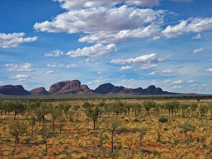 �������猩���I���K��Q�i�J�^�W���^�j�̓���