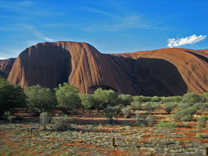 �߂Â��Ă����I���K��Q�i�J�^�W���^�j 2