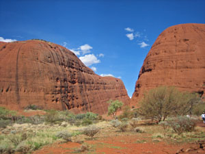 �܂����������E�H�[�L���O�R�[�X