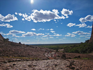 �I���K�k�J�i�����p�j��w�ɂ��ĎB�e