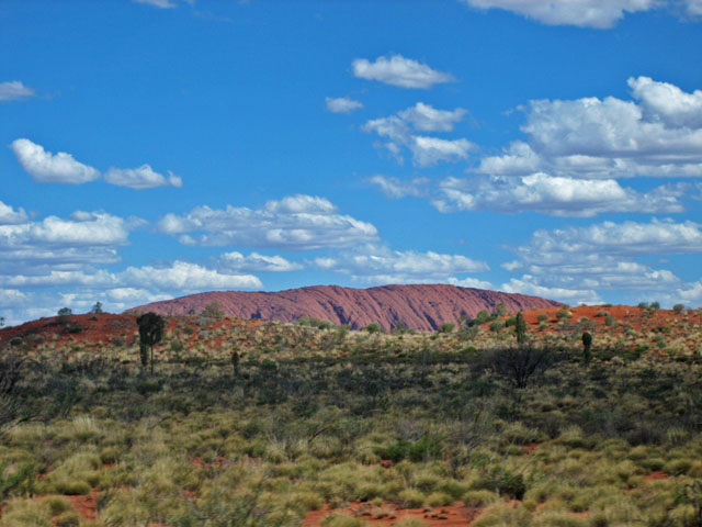 �o�X�ԓ����猩���I���K��Q�i�J�^�W���^�j