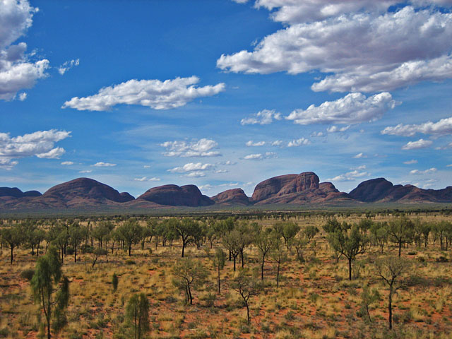 �������猩���I���K��Q�i�J�^�W���^�j�̒���