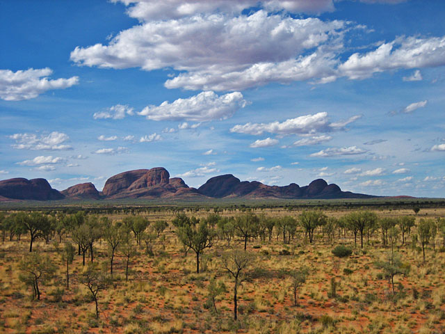 �������猩���I���K��Q�i�J�^�W���^�j�̓���