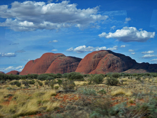 �߂Â��Ă����I���K��Q�i�J�^�W���^�j 1