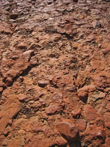 �I���K�k�J�i�����p�j�̃S�c�S�c�����E�H�[�L���O�R�[�X