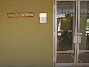 �x�e���̓���