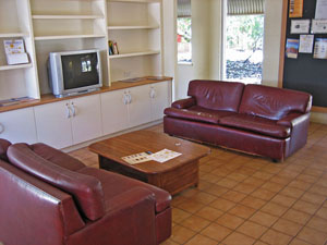 �\�t�@�[�ƃe���r